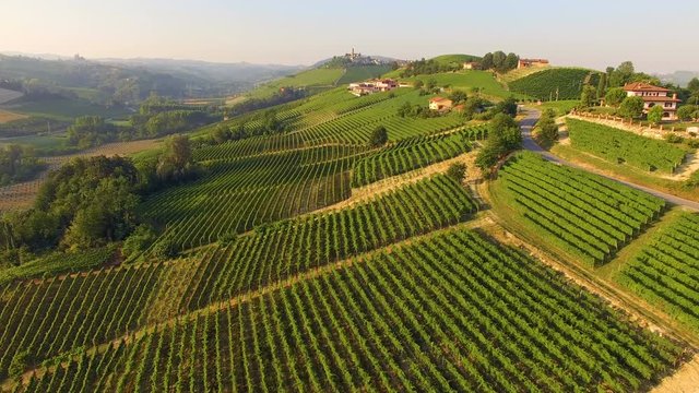 Aerial: flight over Italian vineyards near Castiglione Falletto - town in Piedmont region, Italy.