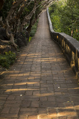 Landscape of tunnel trees way walk of Phra Nakhon Khiri Historical Park (Khao Wang)