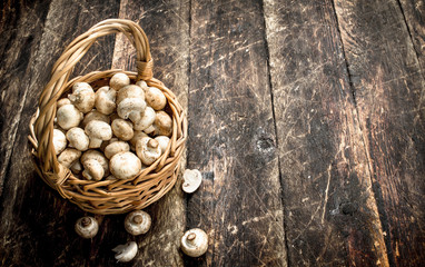 Fototapeta na wymiar Fresh mushrooms in a basket.