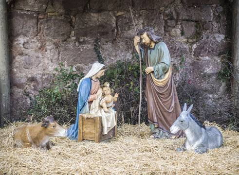 Portal de Belen, birth