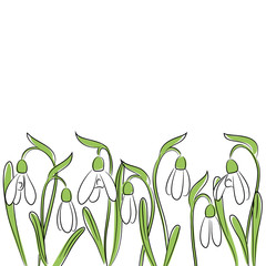 Fototapeta na wymiar vector color snowdrop flowers border line