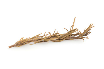 Dried rosemary isolated on a white background