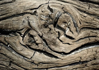 Mooreiche, alter Holz / Treibholz Hintergrund, Textur, leer 