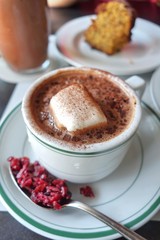 a cup of hot chocolate and marshmallow