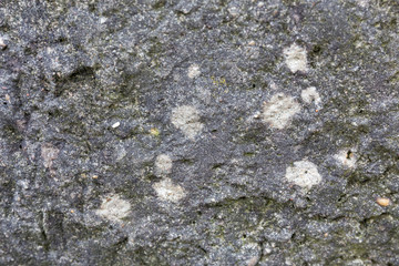 Fototapeta premium stone background 