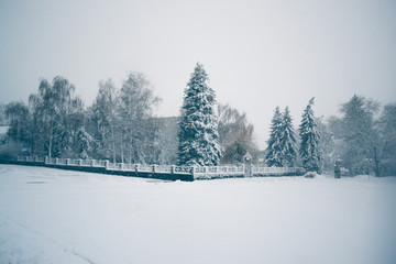 Winter day in a snowfall in the town.