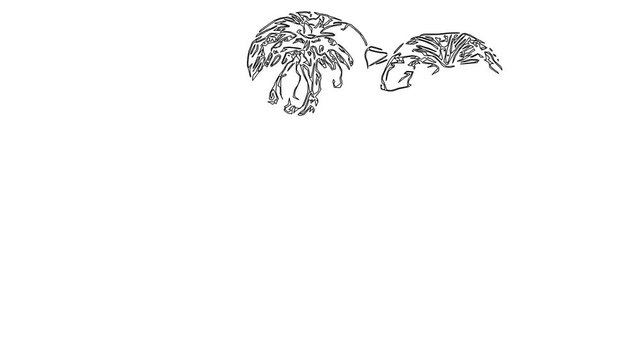 Ripe fruit and leaves of mint. Draw a path. Animation