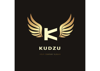 letter K logo Template for your company