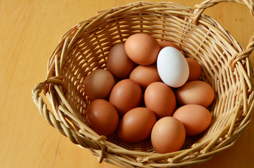 Brown and white eggs