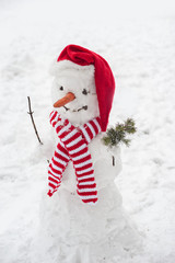 White snowman with scarf and hat
