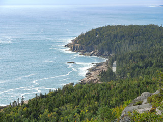 Ocean Path Acadia