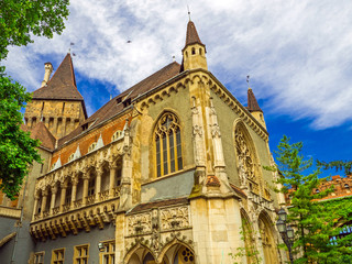 Obraz premium Vajdahunyad Castle (Vajdahunyad vara) in the City Park ( Városliget Park) of Budapest, Hungary.