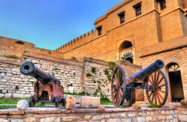 Fototapete Rund Cannons at the Kasbah, a medieval fortress in le Kef, Tunisia © Leonid Andronov