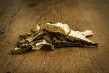 Funghi porcini freschi