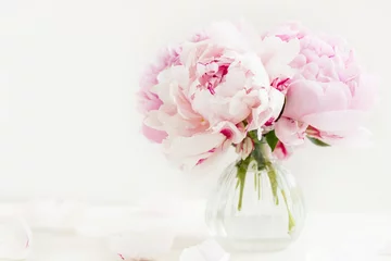 Fresh bunch of pink peonies on light background