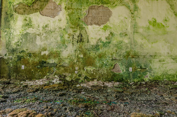 schimmel an der wand
