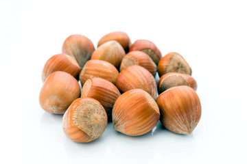 hazelnuts with shell on white background