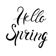 Hello spring lettering isolated on white hand written vector type. Calligraphy