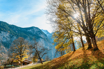Fototapeta premium Beautiful autumn time at village of Lauterbrunnen in Swiss alps, gateway to famous Jungfrau. Set in a valley featuring rocky cliffs and the roaring, 300m-­high Staubbach Falls