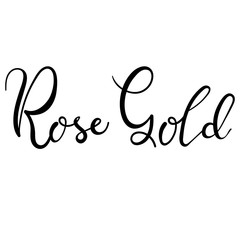 Rose gold lettering isolated on white, hand written vector type