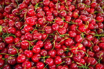 Red Cherries with stalks