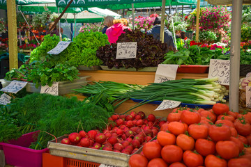 Fototapeta na wymiar Fresh and organic vegetables at farmers market: raddish, tomatoes, dill, salad, green onoins, lettuce, sorrel