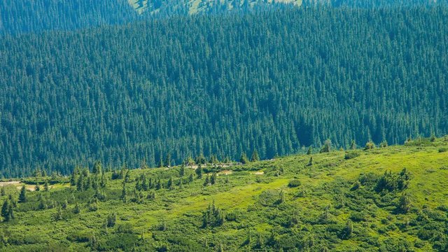 Road to the top of Hoverla mountain. Incredible landscape of green mountains in late summer. Landscape video. Nature video. 4K, 3840*2160, high bit rate, UHD