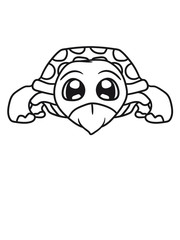 baby kind schildkröte süß niedlich comic cartoon clipart land beine