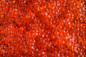 Red caviar close-up. Fresh red caviar.