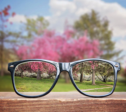 hipster glasses on a park bench or table with a pretty pink tree in the background