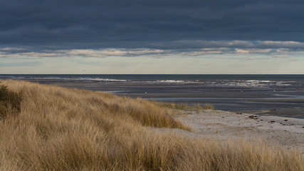Fototapeta na wymiar Danish east-coast of Jutland
