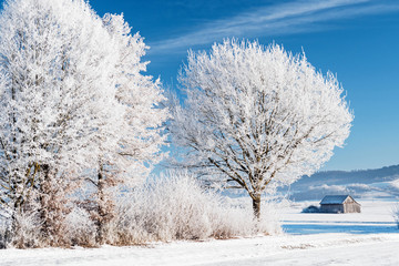 Winterlandschaft