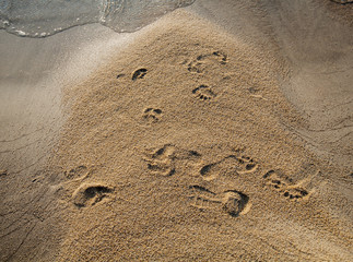  footprint on sand beach