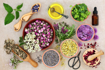 Herbal medicine preparation with fresh herbs and flowers, aromatherapy essential oil, mortar with...