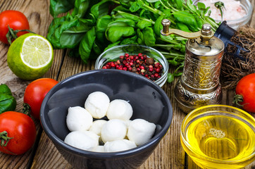 Mozzarella, basil, tomatoes, olive oil-ingredients for caprese