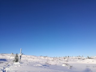 Winter landscape