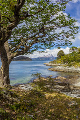 Fototapeta na wymiar Scenic snow capped Chilean mountains seen from Tierra del Fuego National Park in Argentina.