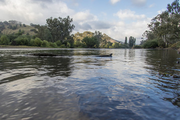 The Murray River near Jingellic, New South Wales, Australia