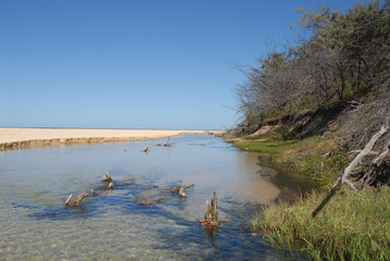 Eli Creek and beach on Fraser Island, Australia
