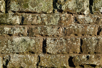Alte Steine mit Flechten einer Mauer
