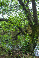 Pateira de Fermentelos, Portugal