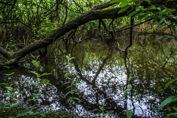 Obraz premium Pateira de Fermentelos, Portugal