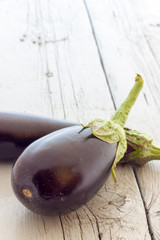 Biological eggplants