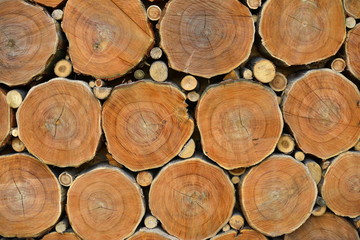 Fototapeta premium Background texture of stacked split firewood. Pile of firewood.