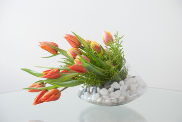 Decorative cylinder glass vase with orange tulips on a white background