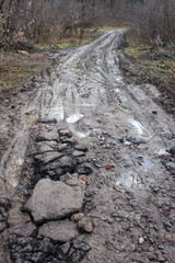 Muddy road in the forest