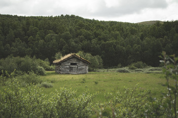 Old wooden house and farm buildings