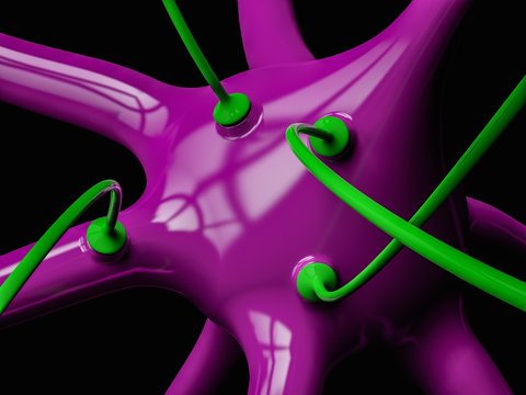 Nerve cell and synapses, illustration