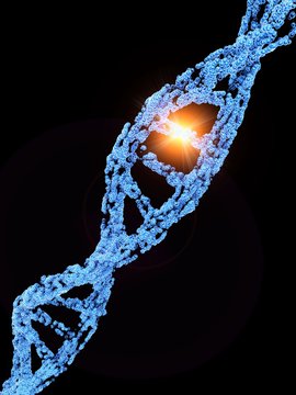 Point mutation, illustration