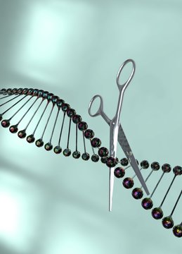 DNA being cut by scissors, illustration
